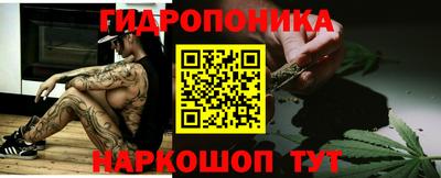 индика Краснокаменск