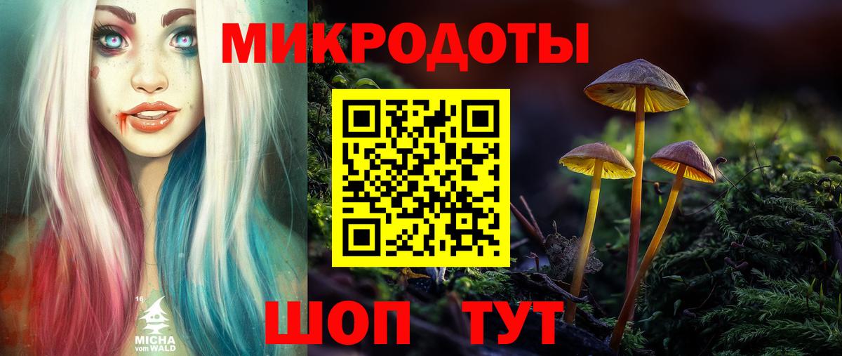 Галлюциногенные грибы Psilocybe  Вход с VPN  Камень-на-Оби 