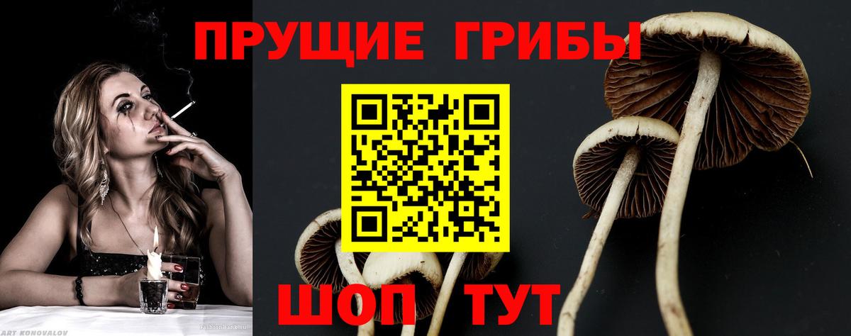 Псилоцибиновые грибы мухоморы Камень-на-Оби